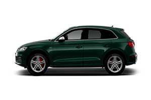 Отключение вихревых заслонок Audi SQ5