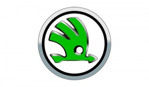 Отключение сажевого фильтра DPF в ЭБУ Skoda